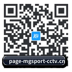系统版 iOS 二维码